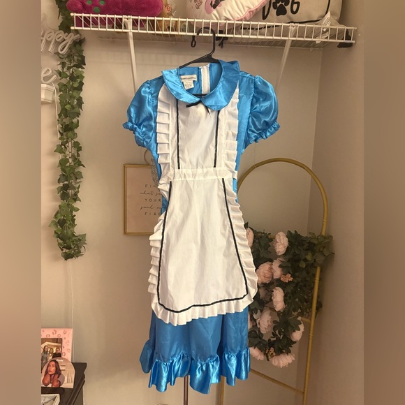 Alice In Wonderland Costume - Picture 1 of 1